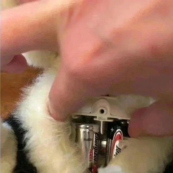 2004 FurReal Hasbro Tiger Electronics Scamps my Playful  Pup animatronic… - Picture 7 of 9